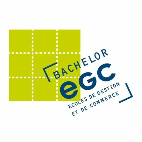 Bachelor EGC